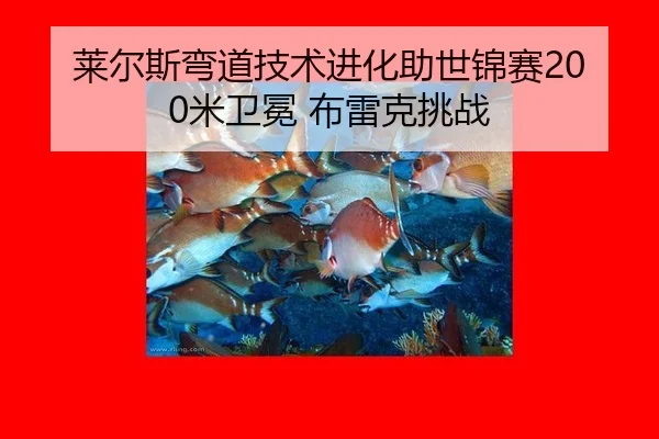 莱尔斯弯道技术进化助世锦赛200米卫冕 布雷克挑战