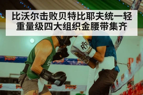 比沃尔击败贝特比耶夫统一轻重量级四大组织金腰带集齐
